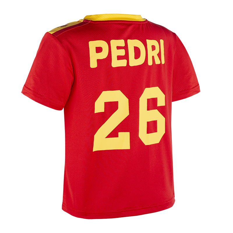 Back of jerse(Character: PEDRI)