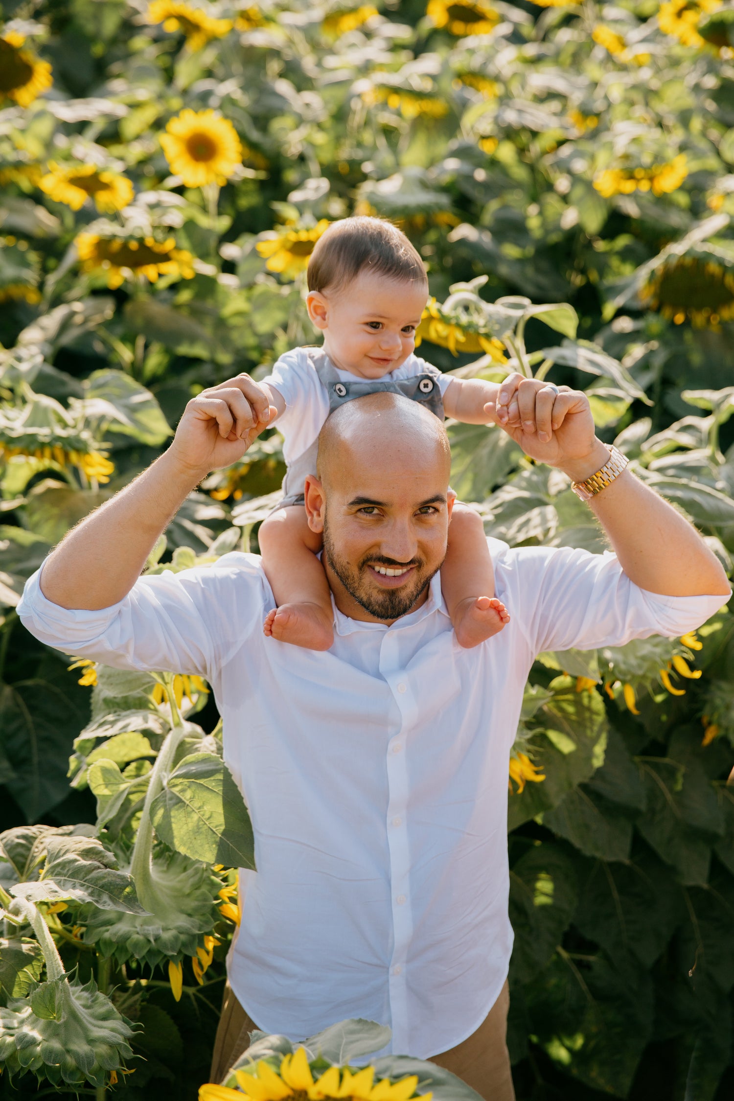 baby sits on a shoulders standing in a sunflower field